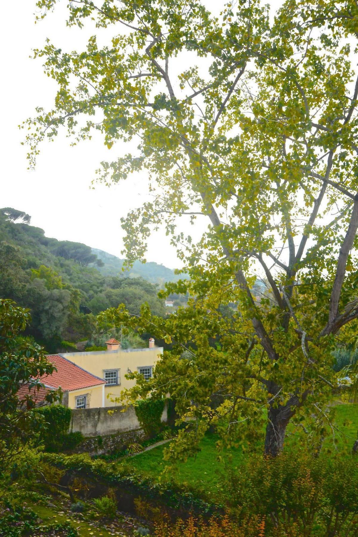 Hotel Quinta De Sao Tadeu Sintra Exterior foto